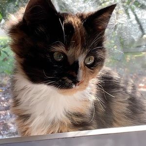 Meet your Posher, Tamara